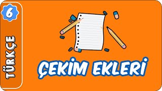 Çekim Ekleri  6 Sınıf Türkçe evokul Kampı [upl. by Hasty]