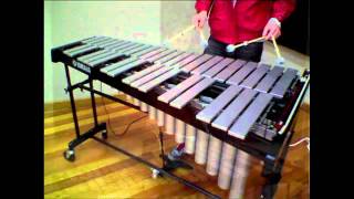 Vibraphone Techniques [upl. by Auqenes]