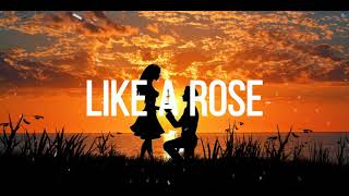 A1Like A Rose Lyrics [upl. by Raffarty]