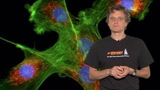 Microscopy Introduction to Fluorescence Microscopy Nico Stuurman [upl. by Ethelin94]