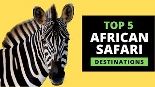 AFRICAN SAFARI DESTINATIONS  Top 5 Most Popular with prices [upl. by Htrag]