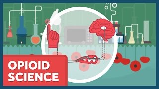 The Science of Opioids [upl. by Vial820]