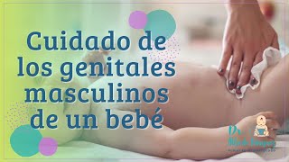 Cómo cuidar el pene de mi bebe recién nacido Consejos importantes [upl. by Gnoix]