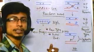 Linkage mapping introduction [upl. by Araldo]