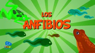 Los Anfibios  Vídeos Educativos para Niños [upl. by Kaczer246]