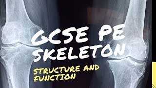 GCSE PE Structure and Functions of the Skeleton [upl. by Nellie138]