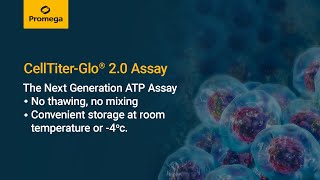 CellTiter Glo® 2 0 Cell Viability Assay [upl. by Allisurd19]