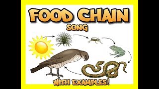 Food Chain song with several examples [upl. by Indys]