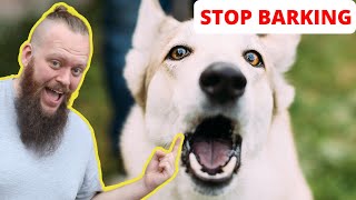 How to Train Your Dog to STOP BARKING at EVERYTHING [upl. by Gordy]