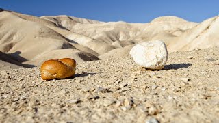 Sackcloth and ashes What is the importance of fasting [upl. by Alyahs]