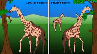 WCLN  Lamarck Vs Darwin [upl. by Gratiana572]