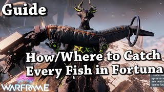 Warframe  WhereHow To Catch Every Fish In FortunaOrb Vallis Guide [upl. by Aenal736]