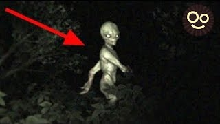 10 Extraterrestres Grabados y VISTOS en la Vida REAL [upl. by Aneerbas]