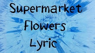 Supermarket Flowers  Ed Sheeran Lyric [upl. by Ahsercel790]