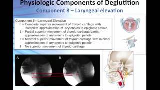 Overview of the 17 Physiologic Components of Swallow Function [upl. by Marcela]