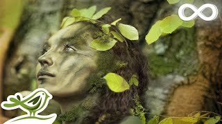 Dance of Life Relaxing Celtic Music for Meditation amp Sleep by Peder B Helland [upl. by Arva]