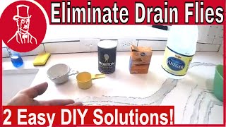 How to Get Rid of Drain Flies [upl. by Notaek371]