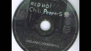 Red Hot Chili peppers  Parallel Universe Rare Demo [upl. by Edna]