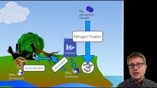 Biogeochemical Cycles [upl. by Fulviah]