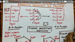 Fischer amp Haworth projection formulas for Fructose Biomolecules class 12 chemistry [upl. by Hazem]