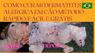 COMO CURAR DERMATITES ALÉRGICA EM CÃES MÉTODO RÁPIDO FÁCIL E GRATUITO [upl. by Adyahs]