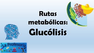 Rutas metabólicas Glucólisis [upl. by Elegna930]