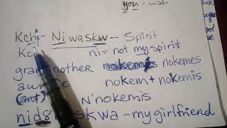 Abenaki Thank You 2 of 3 Pronunciation amp Expressing Gratitude Alnôbaôdwawôgan [upl. by Harraf]