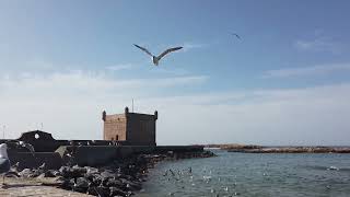 Essaouira Morocco [upl. by Hsevahb]