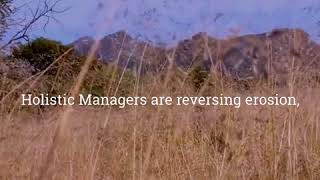 How Holistic Planned Grazing Works in 60 Seconds [upl. by Yeung108]