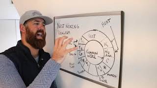 Nest Wiring Diagram Full Explanation [upl. by Llewej]