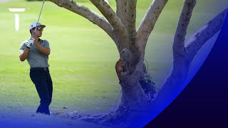 Garrick Higgo loses golf ball in palm tree  Round 2 Highlights  2021 Tenerife Open [upl. by Lainad]