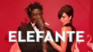 NK  ELEFANTE Official Video [upl. by Narmis878]