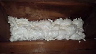 Expanding Foam comparison [upl. by Ahsehyt857]