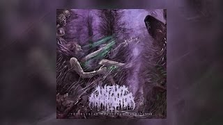 Infant Annihilator  The Elysian Grandeval Galèriarch OFFICIAL ALBUM STREAM W LYRICS [upl. by Dalury771]