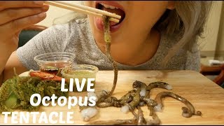 LIVE Octopus Tentacles  ASMR Mukbang Eating Sounds  NE Lets Eat [upl. by Annamarie]