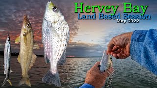 Hervey Bay Land Based Fishing  May 2022 [upl. by Eelsha]