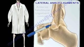 Ankle Ligaments Anatomy  Everything You Need To Know  Dr Nabil Ebraheim [upl. by Sirdi296]