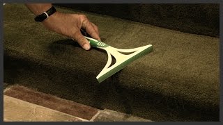 How to remove dog hair from carpet [upl. by Airotkciv124]