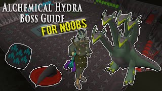 OSRS Hydra Boss Guide for Noobs [upl. by Alaehs]