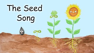 The Seed Song  What Do Seeds Need [upl. by Veriee]