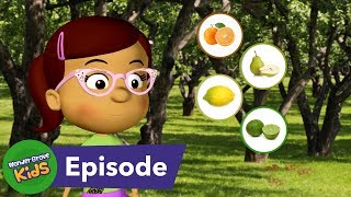 Where Do Fruits and Vegetables Come From S4 E2 [upl. by Ahsiemaj]