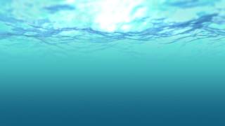 Efecto Bajo el Mar  Piscina  Agua en movimiento  FullHD  FREE [upl. by Wernher]