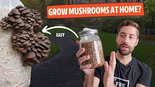 How To Get Started Growing Mushrooms At Home From EASY to HARD [upl. by Micheline288]