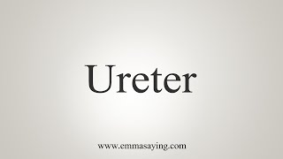 How To Say Ureter [upl. by Aivatnuahs737]