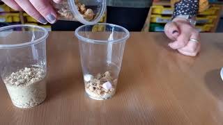 9221  Year 3 Science Lesson Edible rocks [upl. by Karly331]