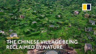 The Chinese ghost village shrouded in greenery [upl. by Norris]