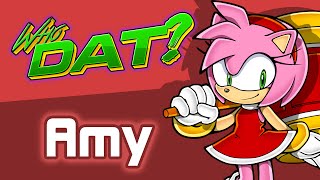 AMY ROSE Sonic the Hedgehog  Who Dat Character Review [upl. by Ellednahc]