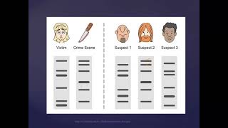 DNA Profiling [upl. by Arfihs298]