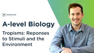 Plant Responses Tropisms  Alevel Biology  OCR AQA Edexcel [upl. by Anirat433]