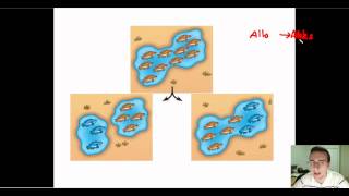 Speciation Part 1 Allopatric vs Sympatric [upl. by Palocz]